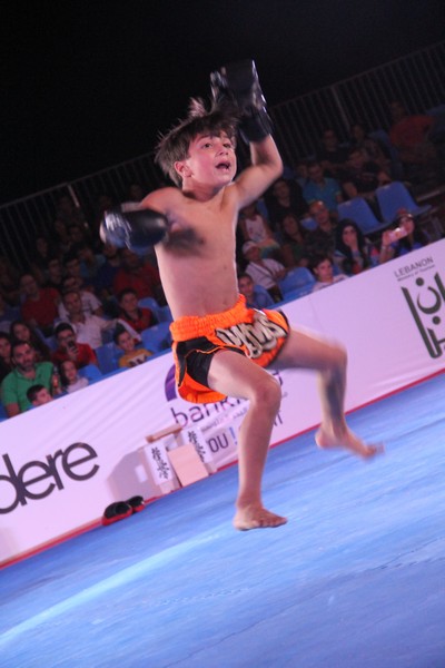 Martial Arts Festival